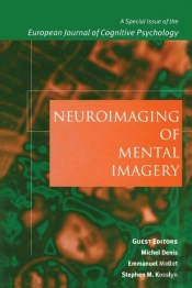 Neuroimaging Of Mental Imagery