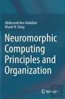Neuromorphic Computing Principles And Organization