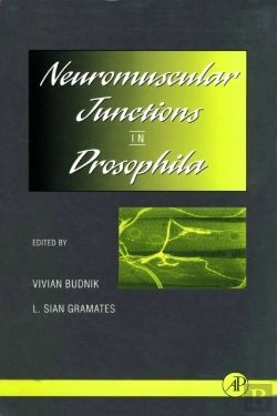 Bertrand.pt - Neuromuscular Junctions In Drosophila