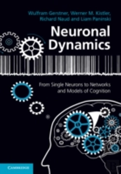 Bertrand.pt - Neuronal Dynamics