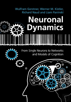 Bertrand.pt - Neuronal Dynamics