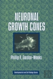 Neuronal Growth Cones