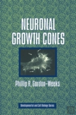 Bertrand.pt - Neuronal Growth Cones