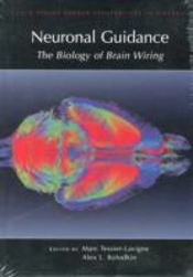 Neuronal Guidance Biol Brain Wiring
