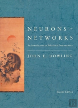 Bertrand.pt - Neurons And Networks