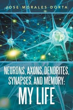 Bertrand.pt - Neurons, Axons, Dendrites, Synapses, And Memory