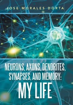Bertrand.pt - Neurons, Axons, Dendrites, Synapses, And Memory