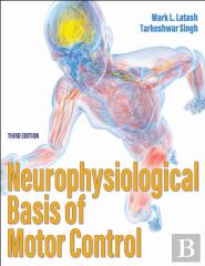 Neurophysiological Basis Of Motor Control