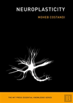 Bertrand.pt - Neuroplasticity