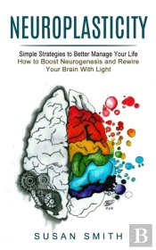Neuroplasticity