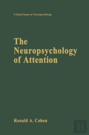 Neuropsychology Of Attention