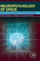 Neuropsychology Of Space