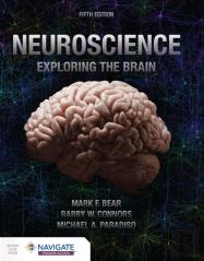 Neuroscience: Exploring The Brain