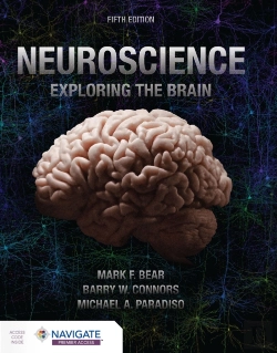 Bertrand.pt - Neuroscience: Exploring The Brain