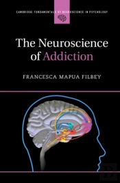 Neuroscience Of Addiction