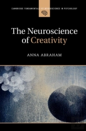 Neuroscience Of Creativity