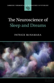 Neuroscience Of Sleep And Dreams