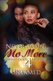 Never Again, No More 4