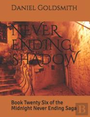 Never Ending Shadow