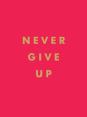Never Give Up