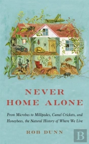 Never Home Alone