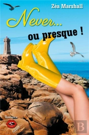 Never... Ou Presque ! Une Romance Acidulée Et Déjantée Dans La Collection Romance Addict