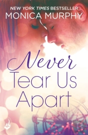 Never Tear Us Apart: Never Series 1