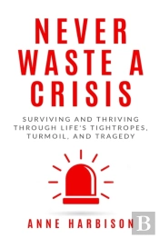 Never Waste A Crisis