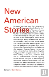 New American Stories