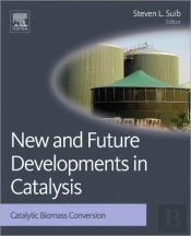New And Future Developments In Catalysis