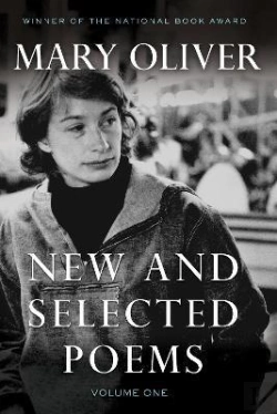 Bertrand.pt - New And Selected Poems, Volume One