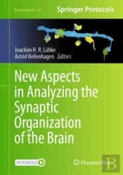 New Aspects In Analyzing The Synaptic Organization Of The Brain