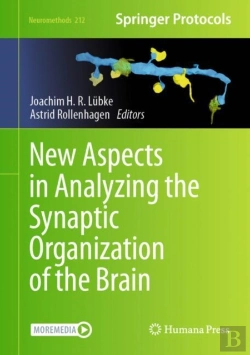 Bertrand.pt - New Aspects In Analyzing The Synaptic Organization Of The Brain