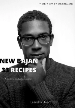 Bertrand.pt - New Bajan