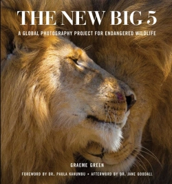 Bertrand.pt - New Big 5