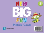 New Big Fun - (Ae) - 2nd Edition (2019) - Picture Cards - Level 3