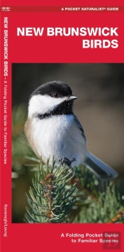 New Brunswick Birds