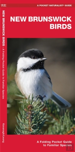 Bertrand.pt - New Brunswick Birds
