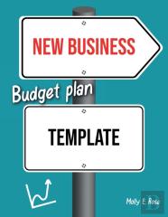 New Business Budget Plan Template