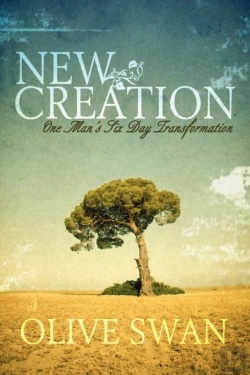 Bertrand.pt - New Creation
