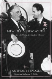 New Deal/New South