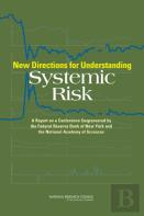 New Directions For Understanding Systemic Risk