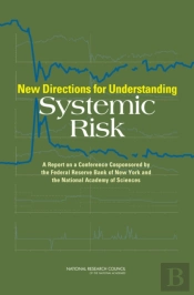 New Directions For Understanding Systemic Risk