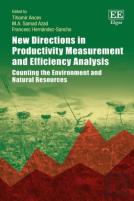New Directions In Productivity Measurement And Efficiency Analysis