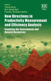 New Directions In Productivity Measurement And Efficiency Analysis