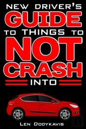 New Driver'S Guide To Things To Not Crash Into