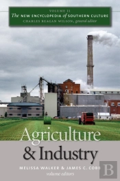 New Encyclopedia Of Southern Culture