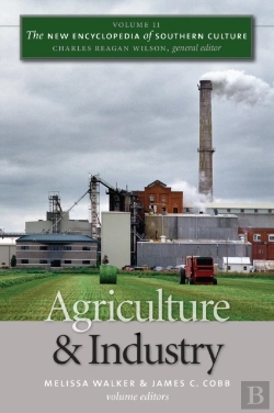 Bertrand.pt - New Encyclopedia Of Southern Culture