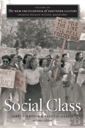 New Encyclopedia Of Southern Culture