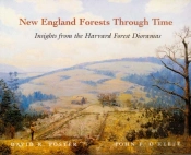 New England Forests Through Time